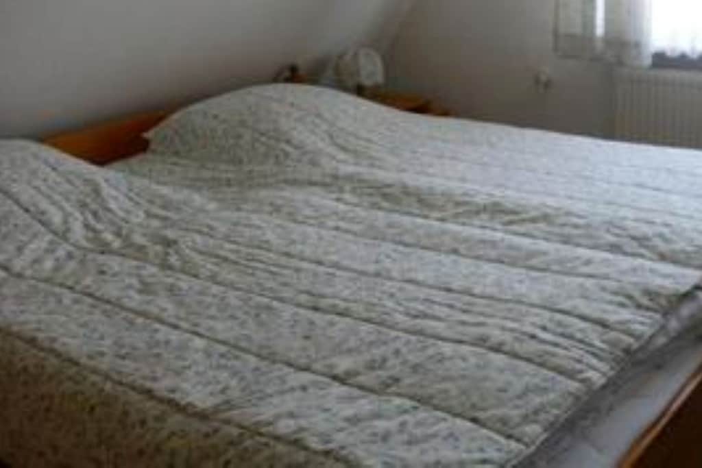 481519 - Niet-getagd