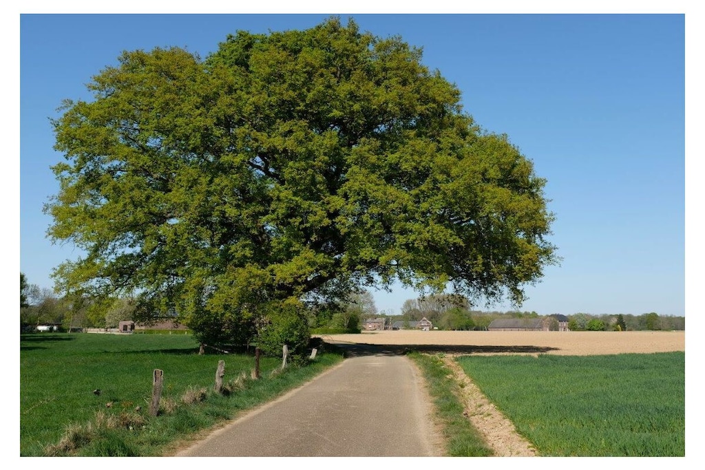 394126 - Niet-getagd