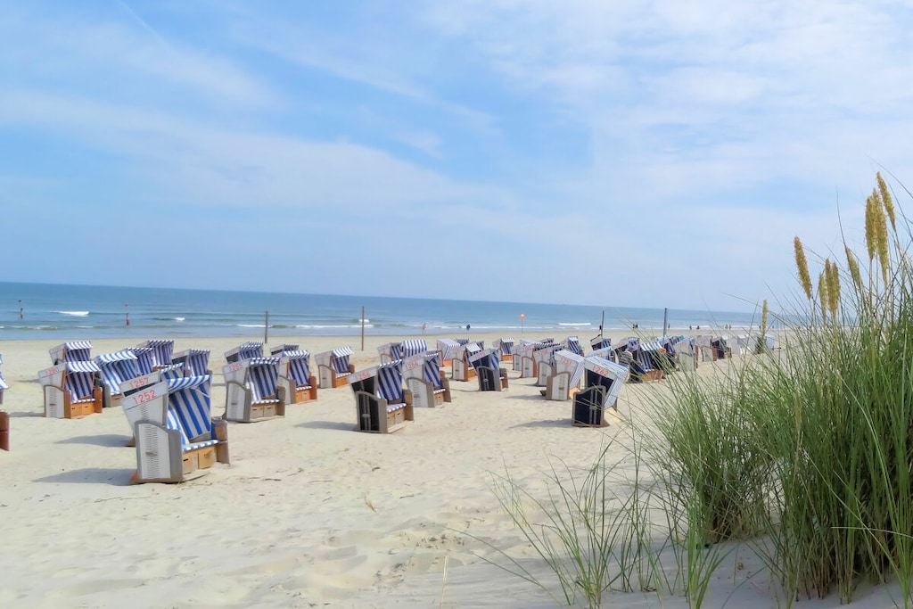443020 - Niet-getagd