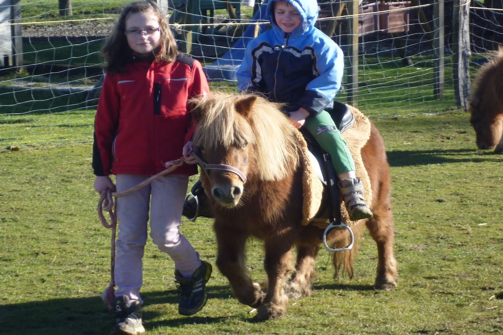 73366 - Niet-getagd