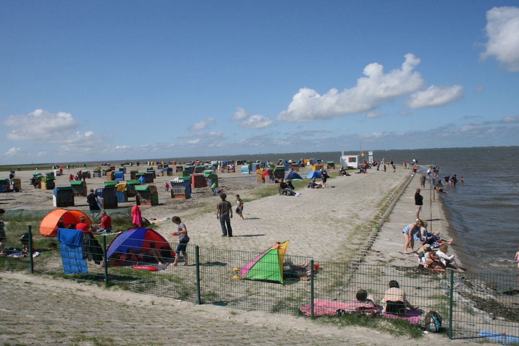 47179 - Niet-getagd