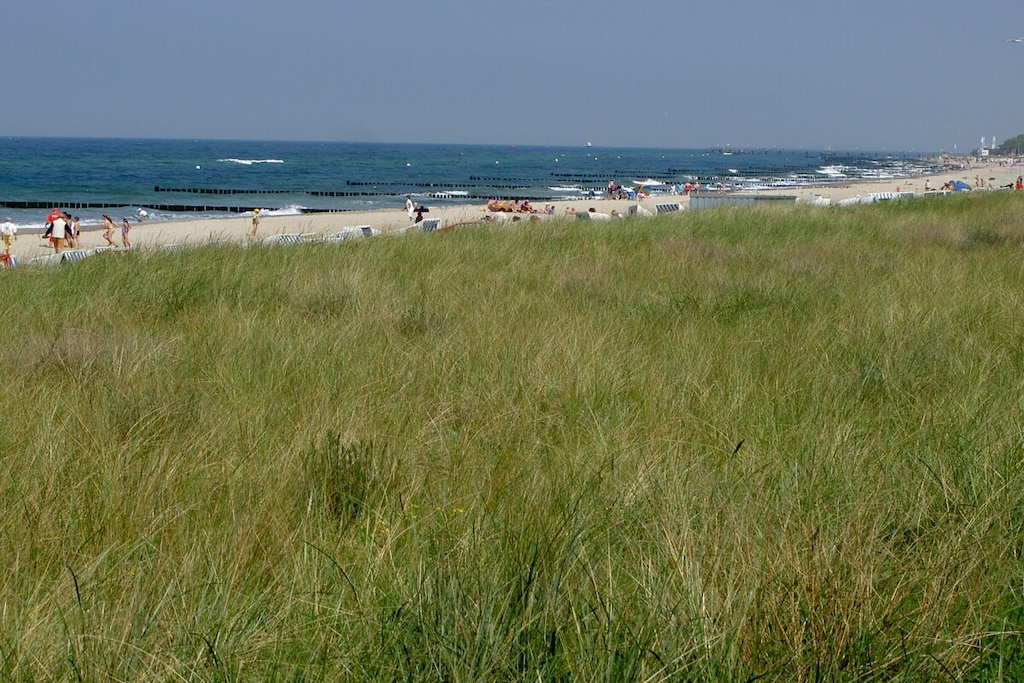 99267 - Niet-getagd