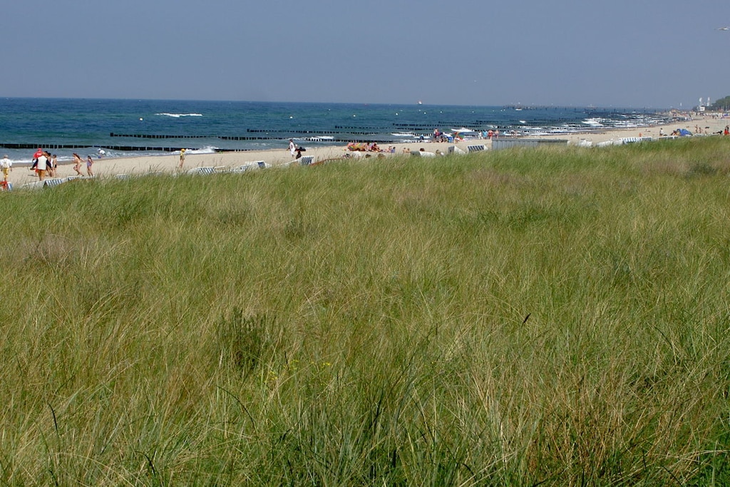 99267 - Niet-getagd