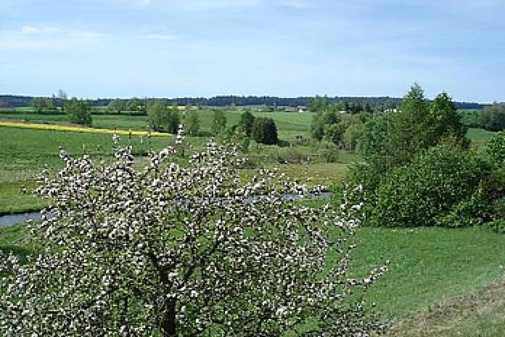 32789 - Niet-getagd