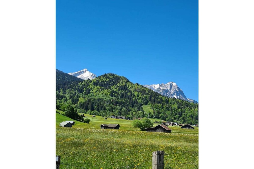 393044 - Nicht zugeordnet