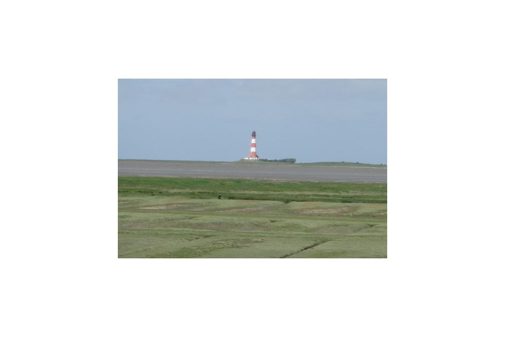 246774 - Non tagué