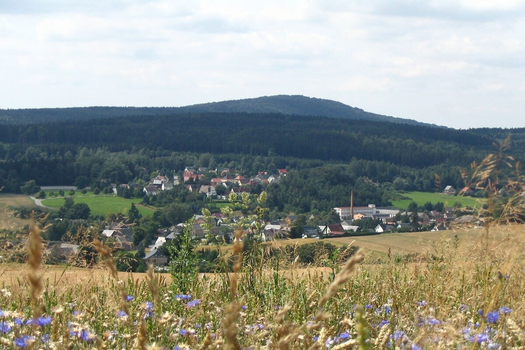 38315 - Non tagué