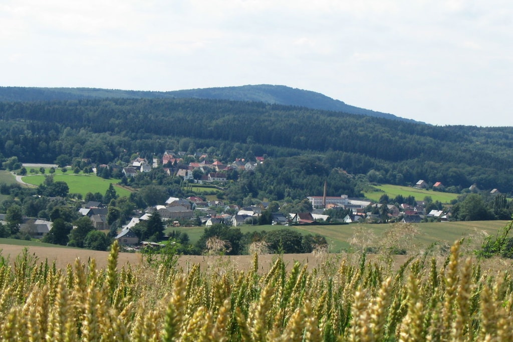 38315 - Non tagué