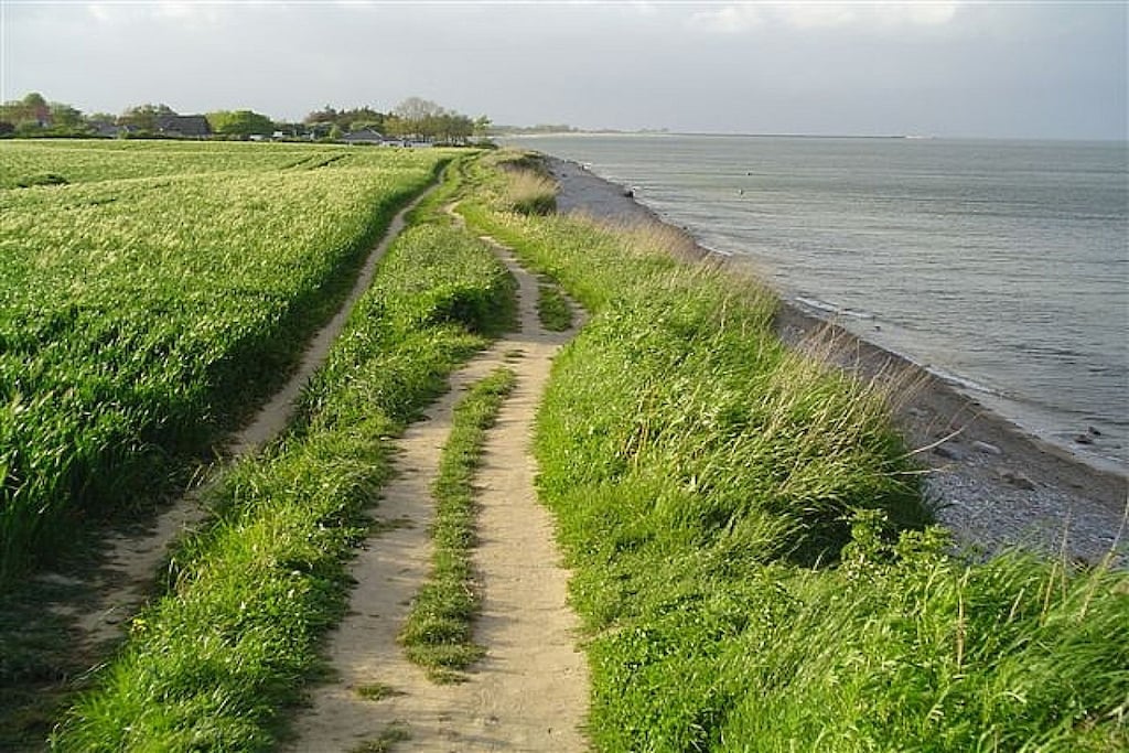 39568 - Niet-getagd