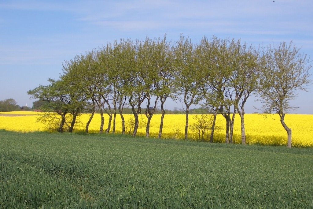 39568 - Niet-getagd