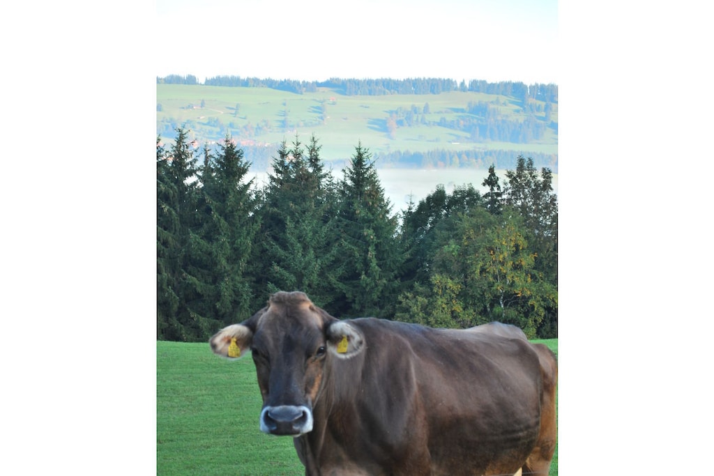 57928 - Nicht zugeordnet