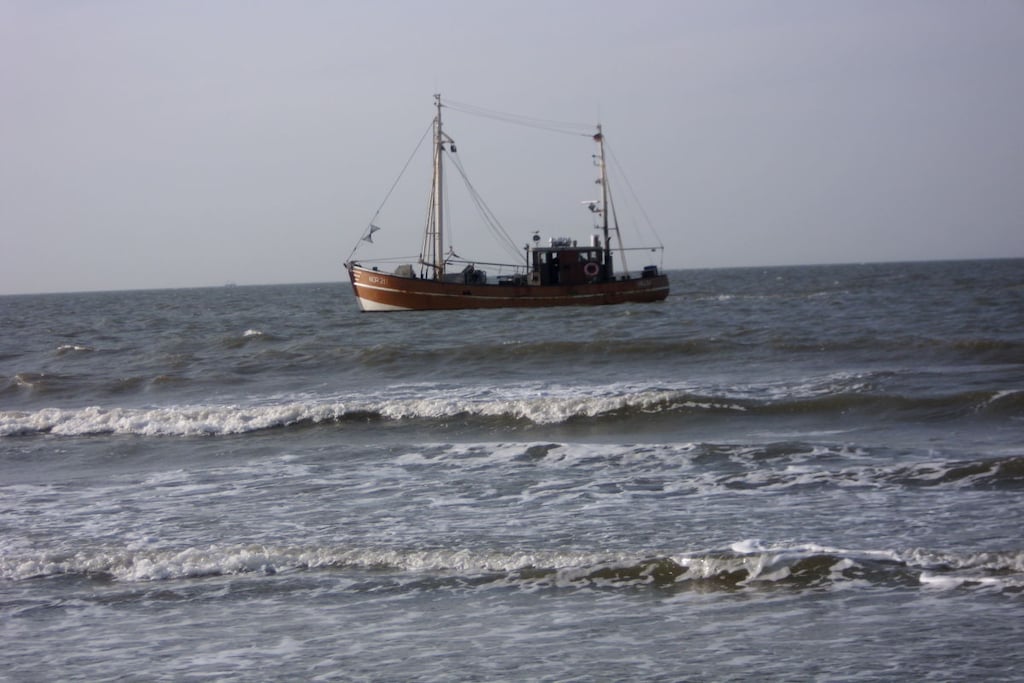 51898 - Niet-getagd