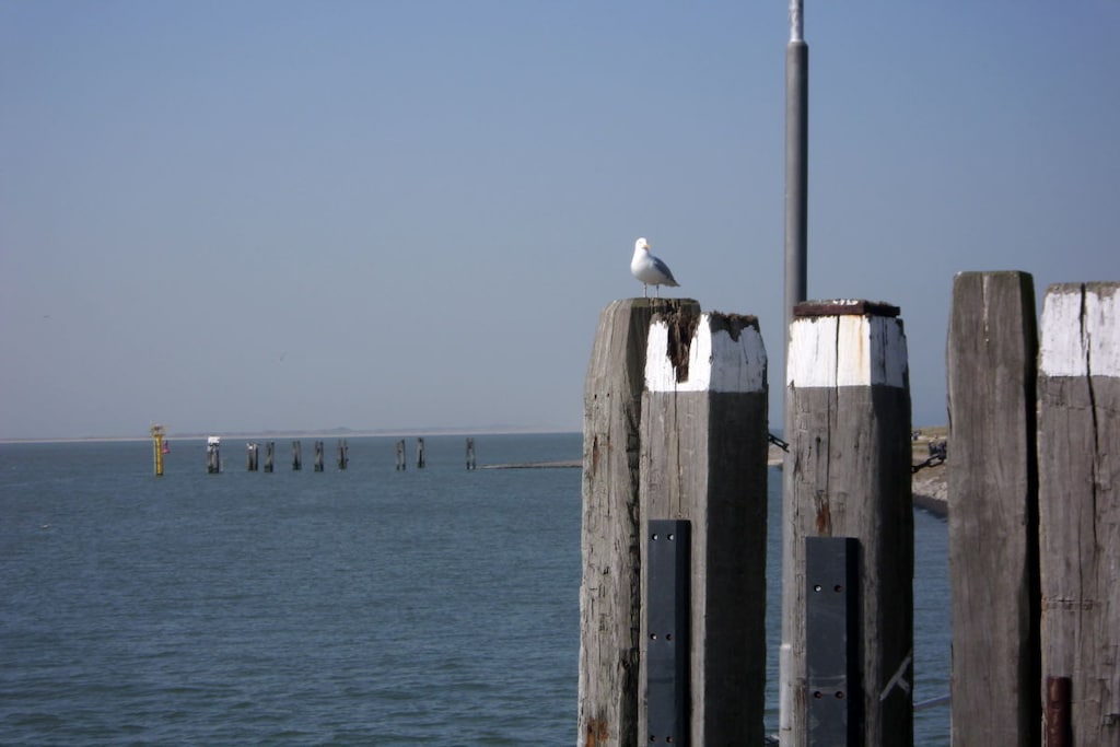 51898 - Niet-getagd