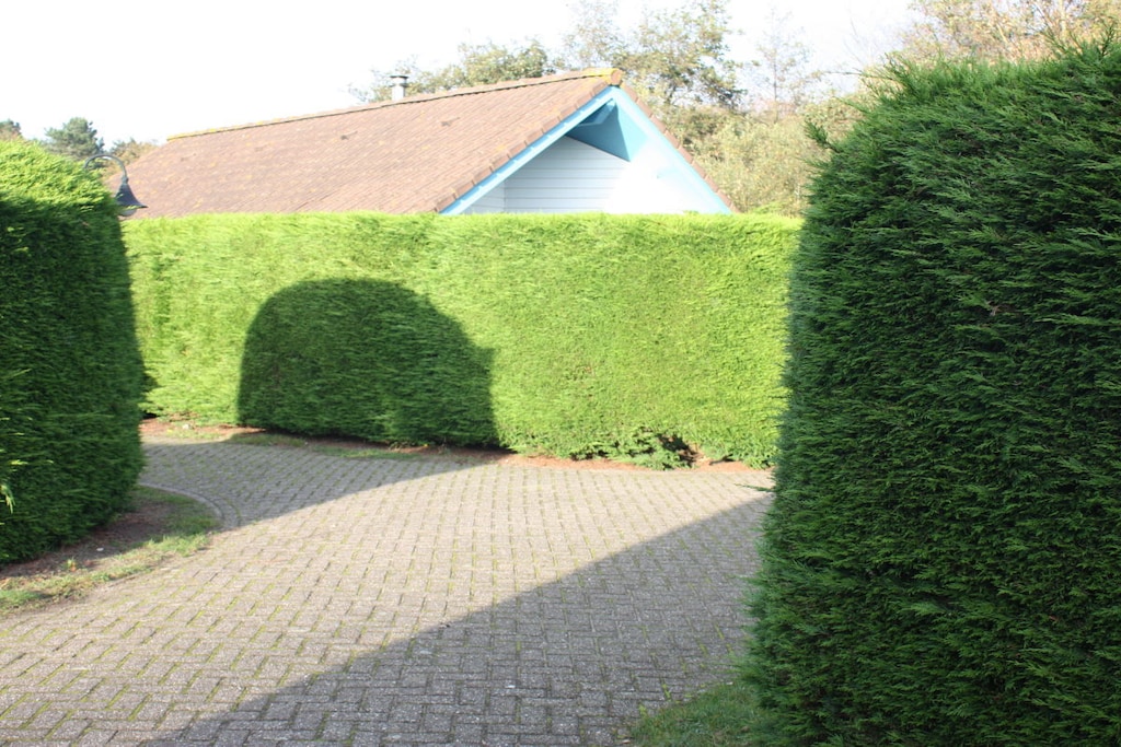 26060 - Niet-getagd