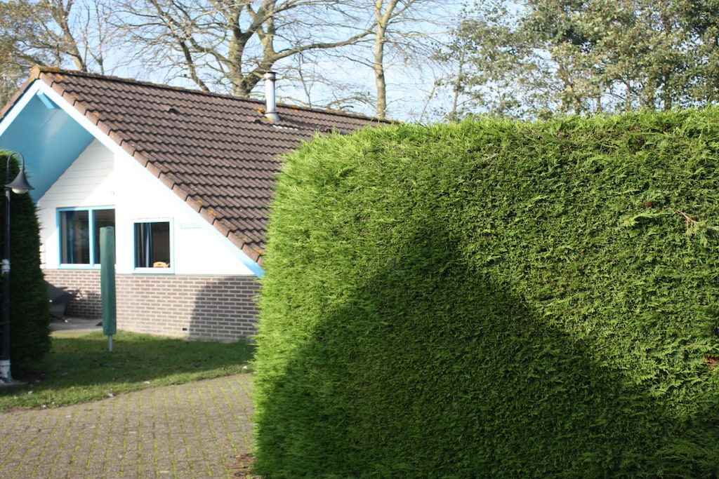 26060 - Niet-getagd