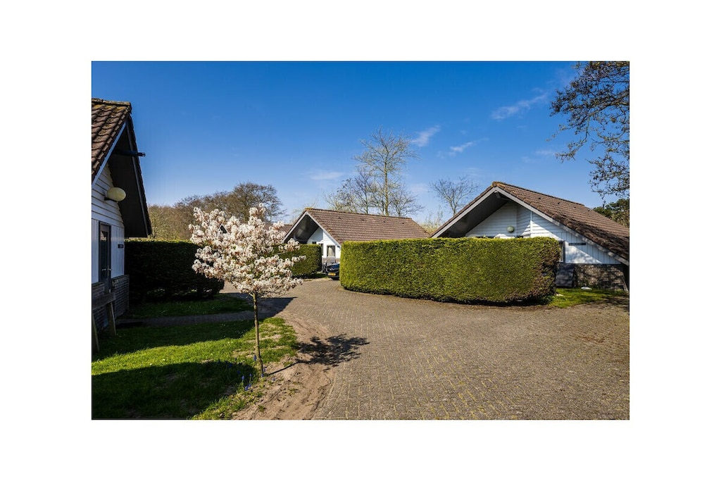 26060 - Niet-getagd