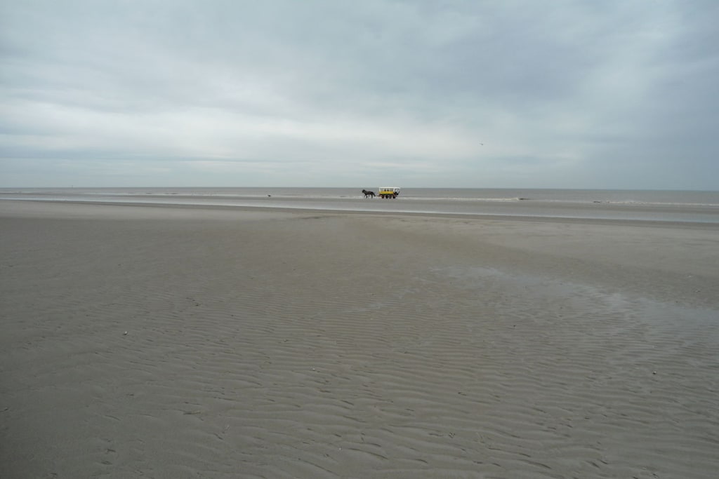 26060 - Niet-getagd