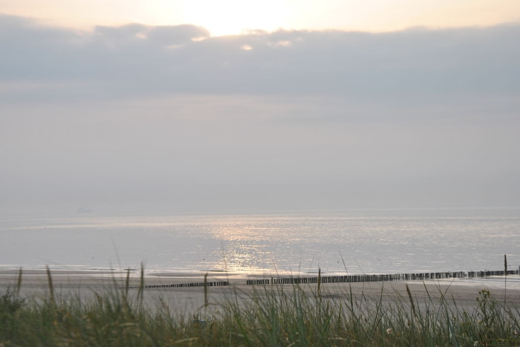 92797 - Niet-getagd