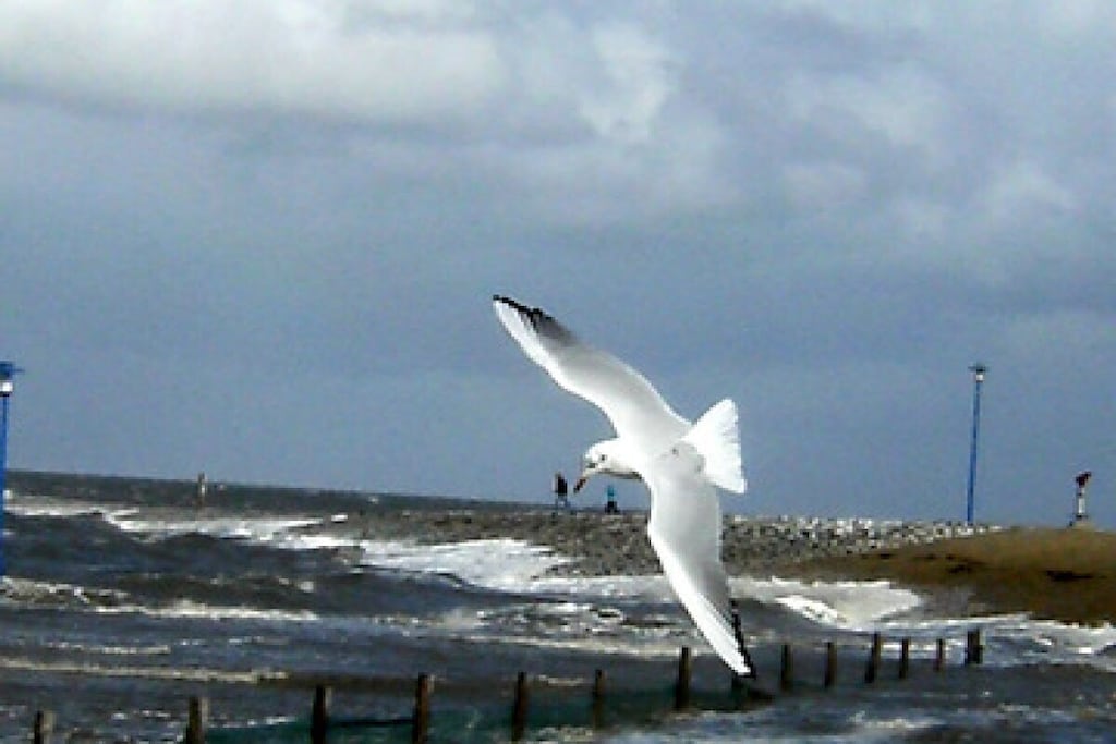 38356 - Niet-getagd