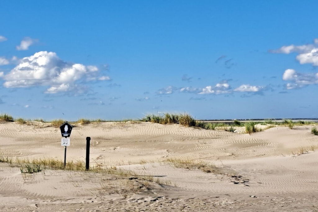 38356 - Niet-getagd