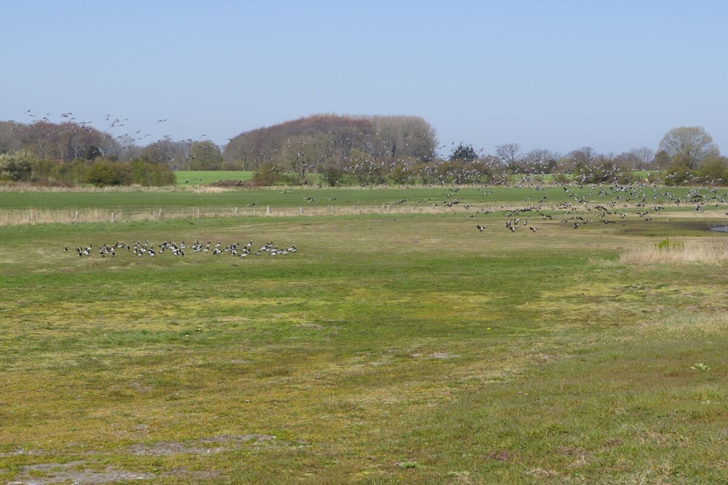 95400 - Niet-getagd