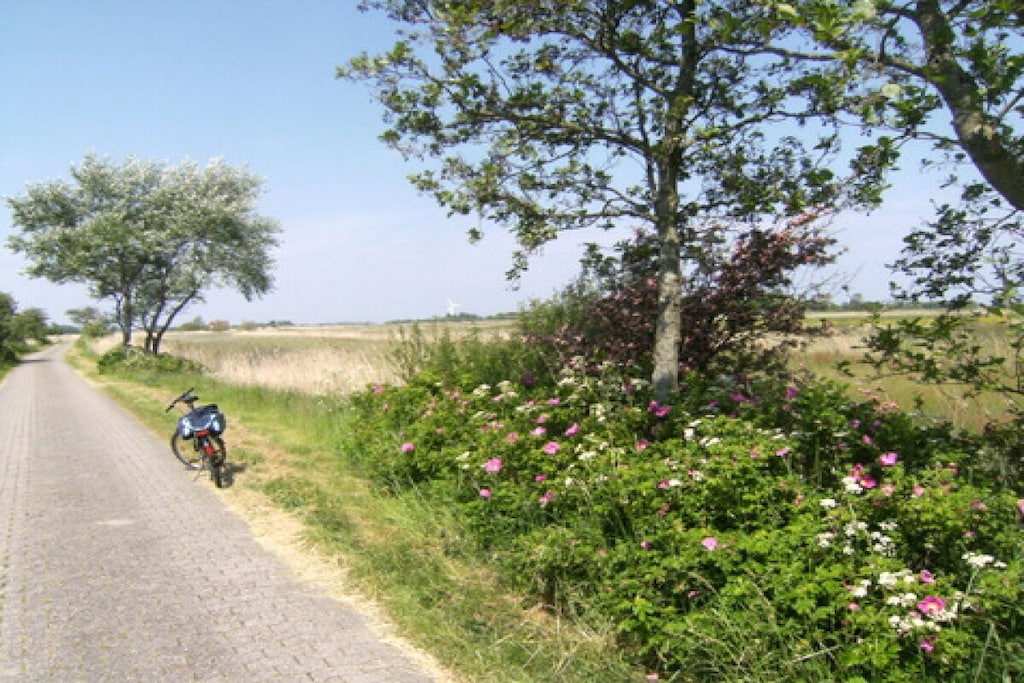 43374 - Niet-getagd
