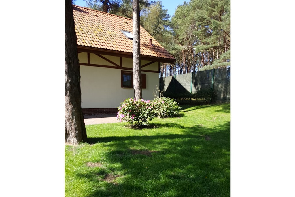 195315