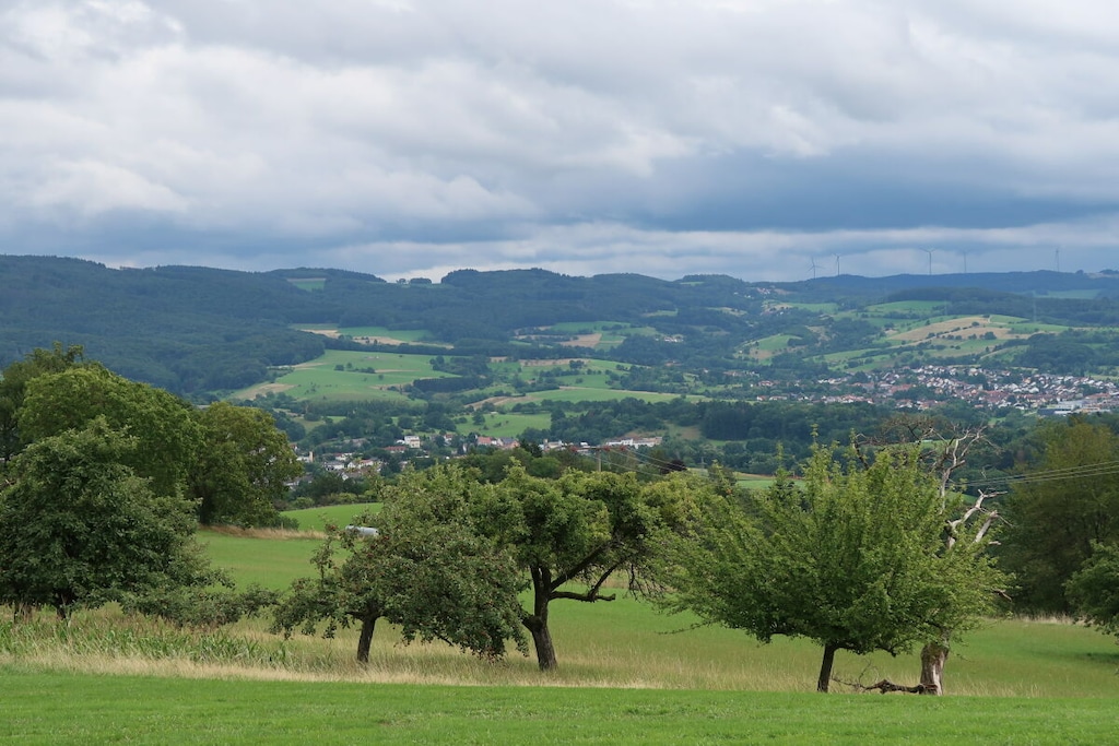 485539 - Nicht zugeordnet