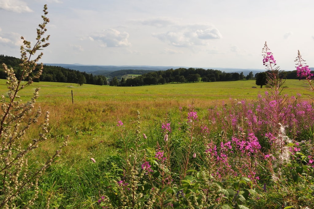 135594 - Nicht zugeordnet