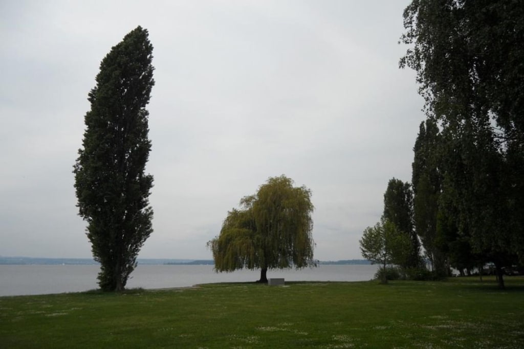 120955 - Niet-getagd