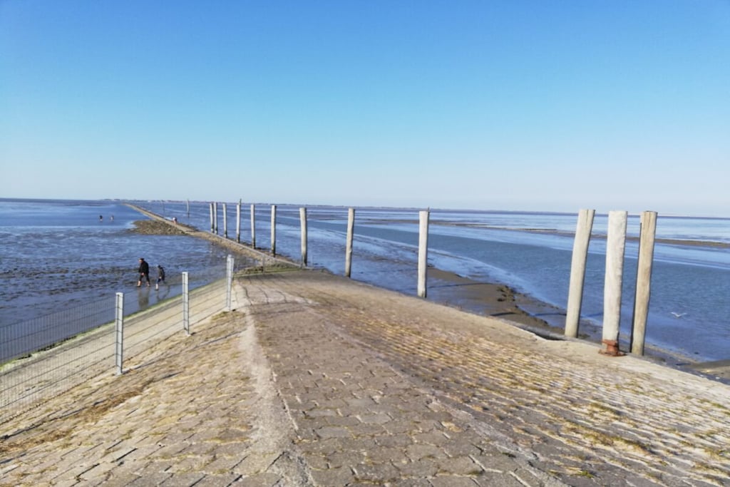 287454 - Niet-getagd