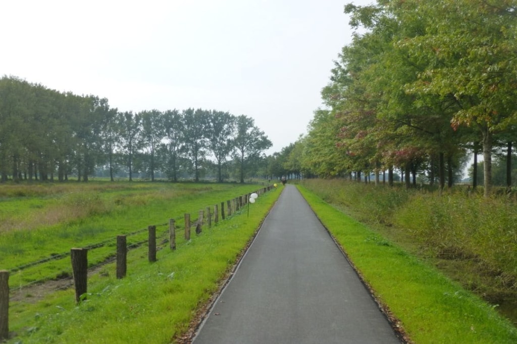46372 - Niet-getagd