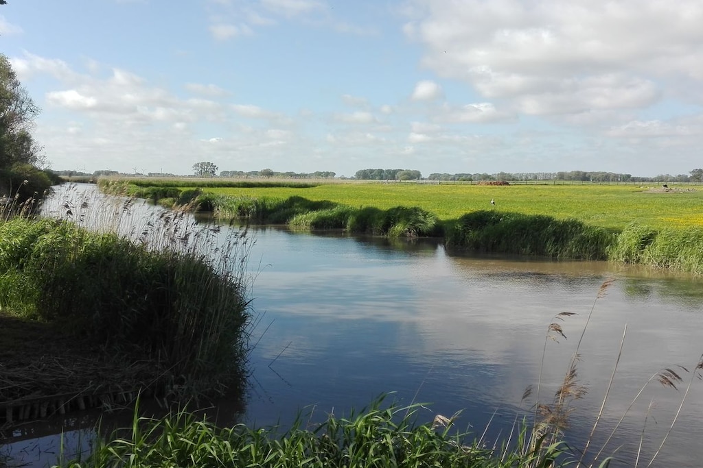 46372 - Niet-getagd