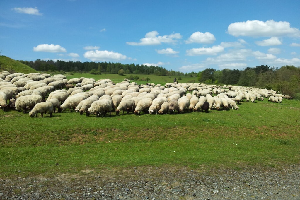 107850 - Niet-getagd