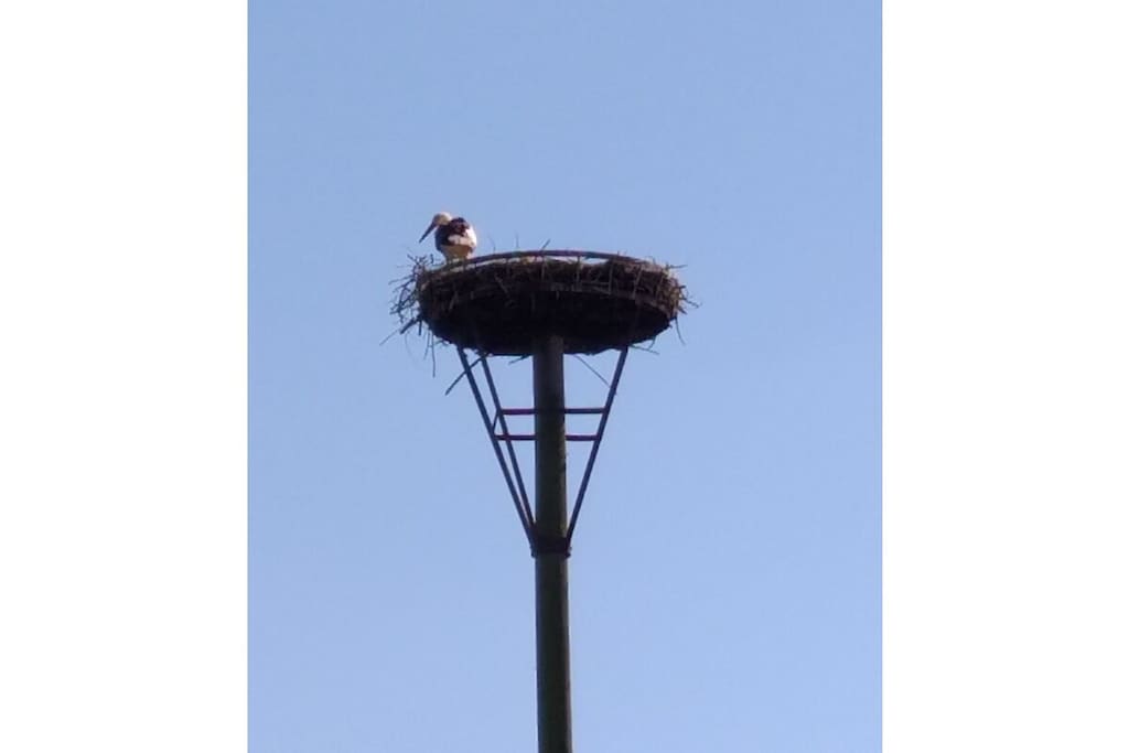 256115 - Niet-getagd