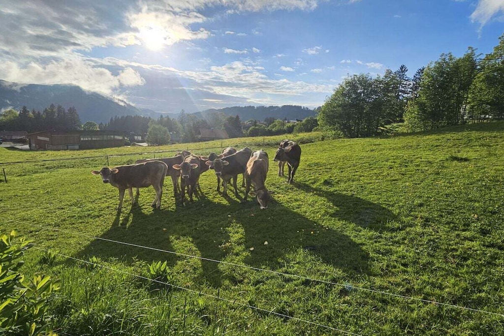 426755 - Nicht zugeordnet
