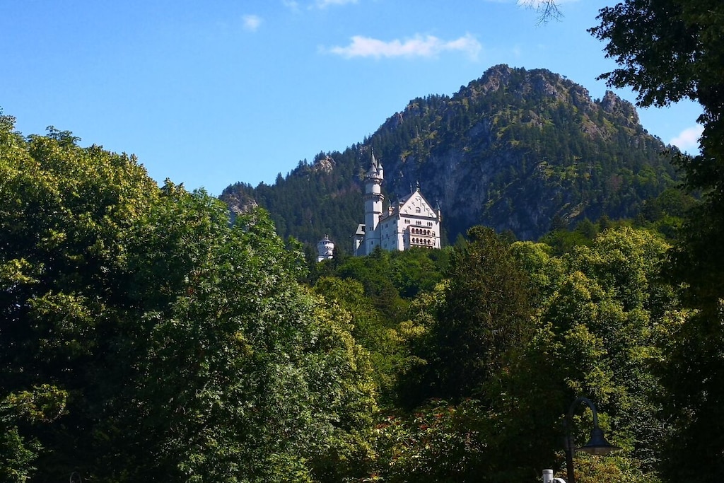 426755 - Nicht zugeordnet