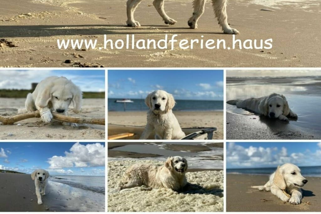 384238 - Niet-getagd