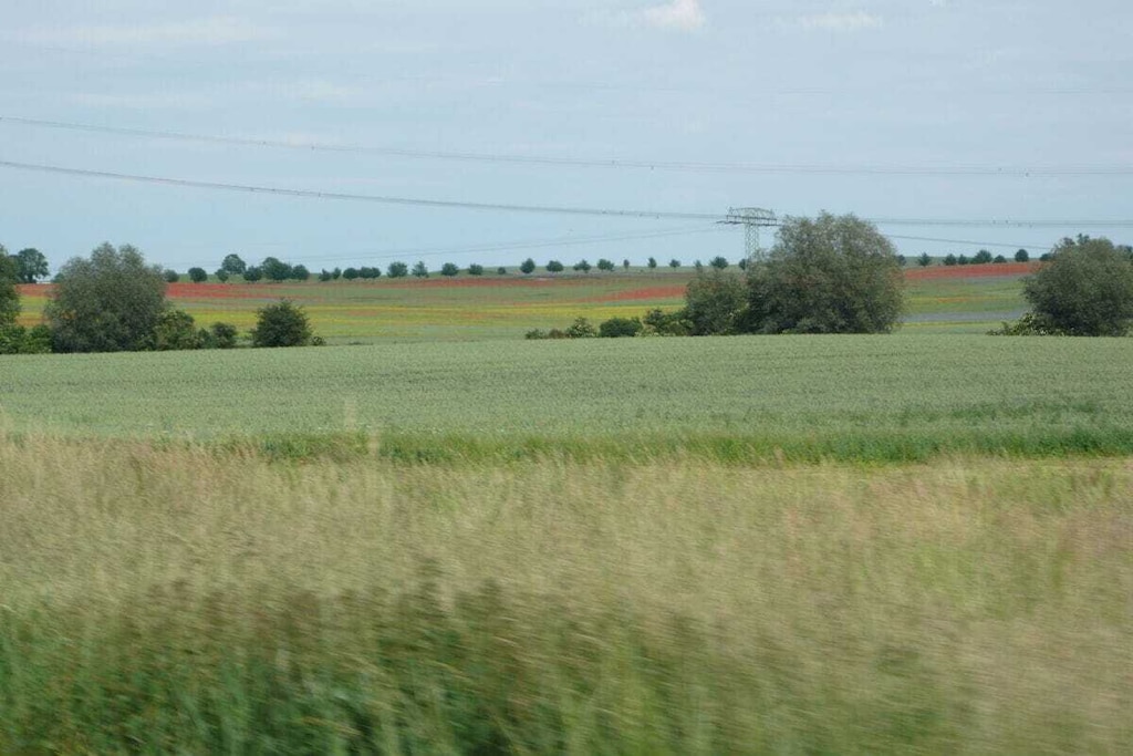 330954 - Non tagué