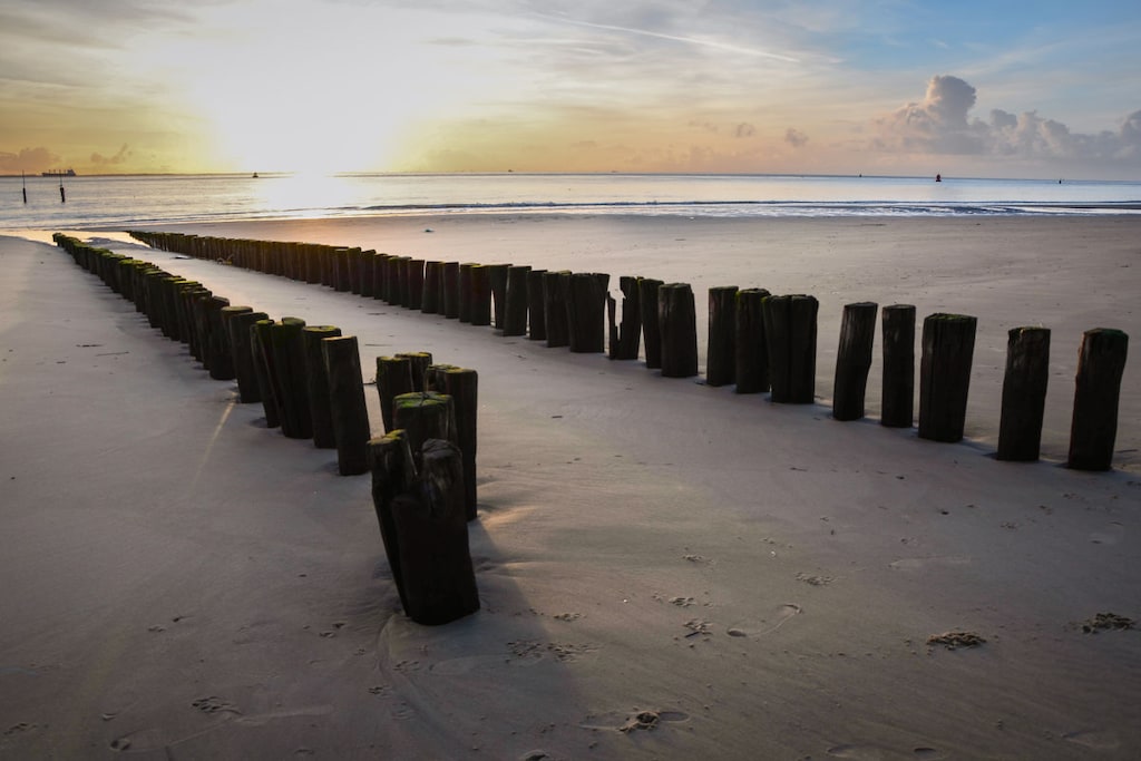233639 - Niet-getagd