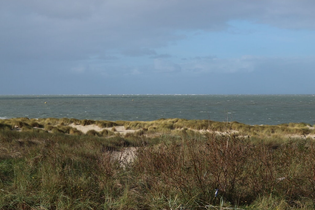 293113 - Niet-getagd