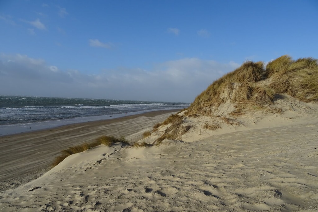 291170 - Niet-getagd