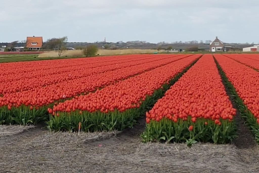 45075 - Niet-getagd