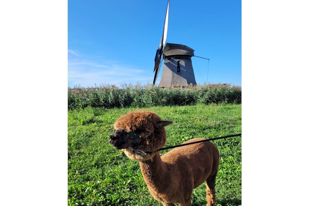 45075 - Niet-getagd