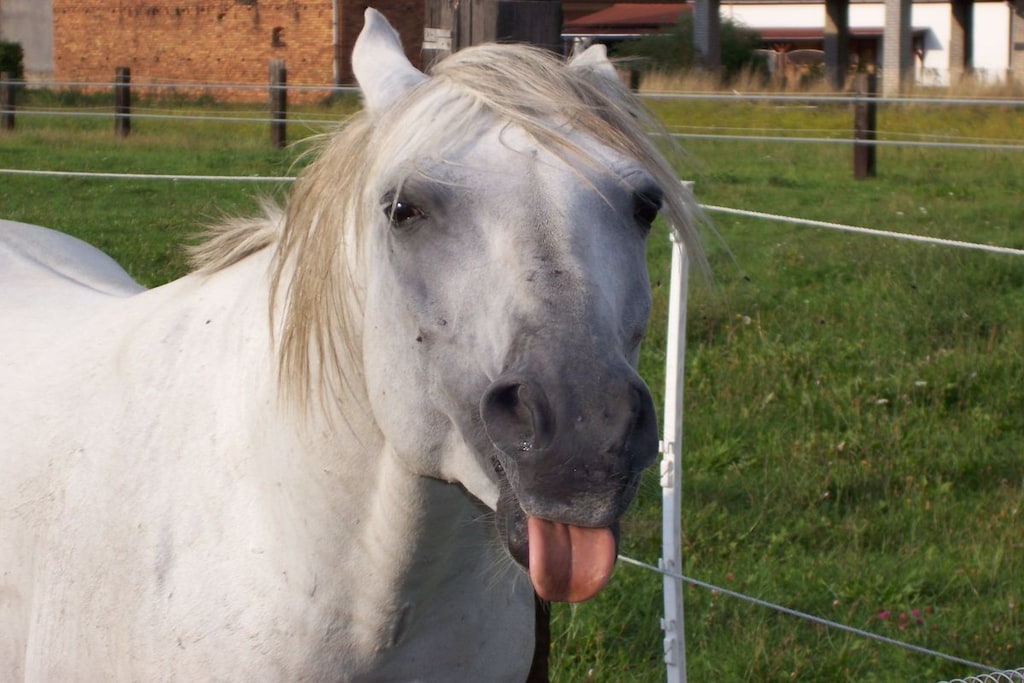 182263 - Niet-getagd
