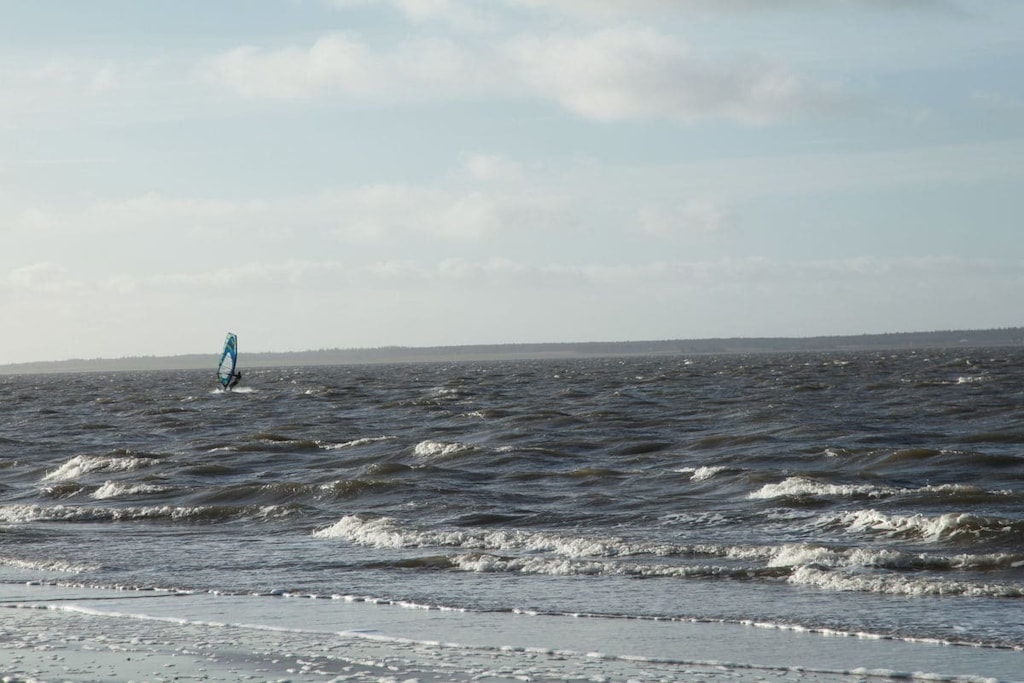 4319 - Niet-getagd