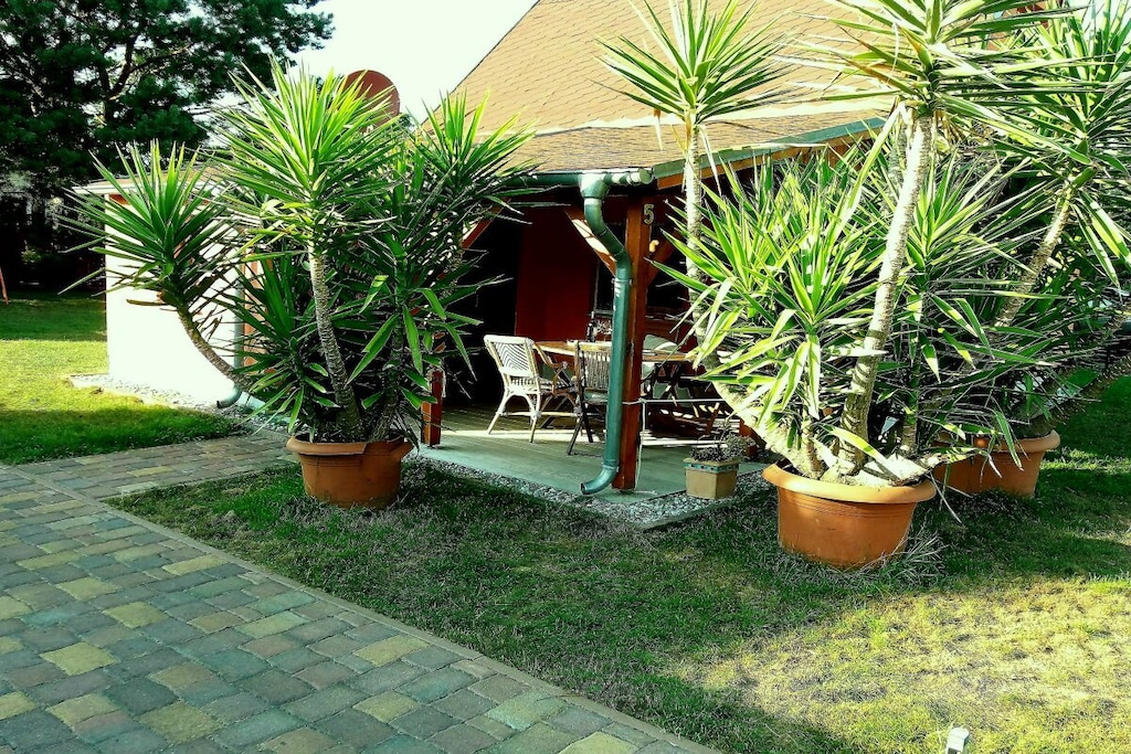 99629 - Niet-getagd