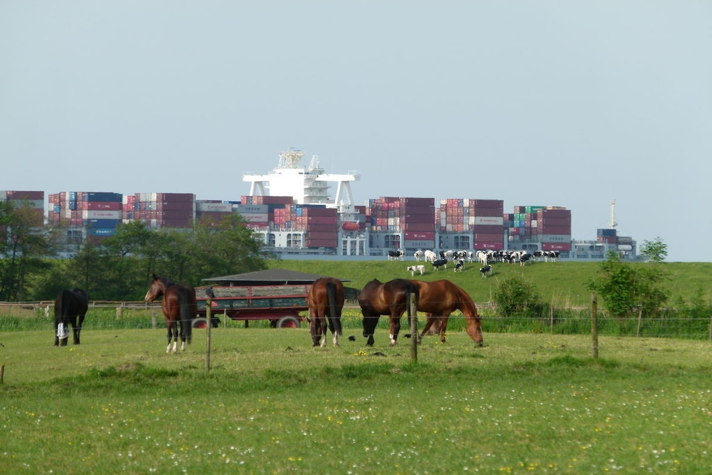 80945 - Niet-getagd