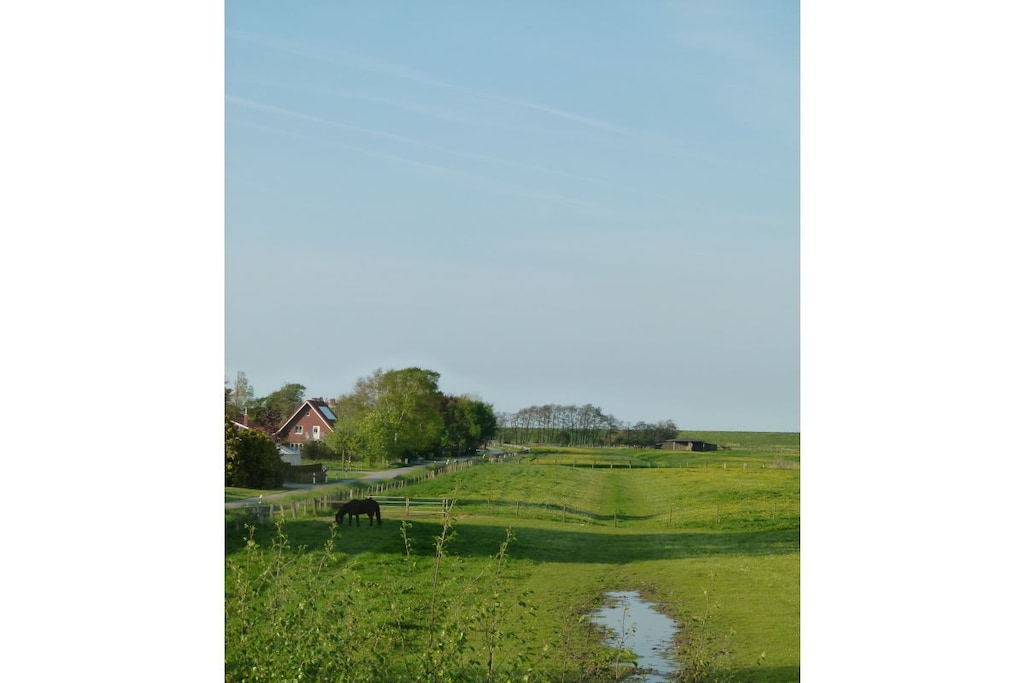 80945 - Niet-getagd