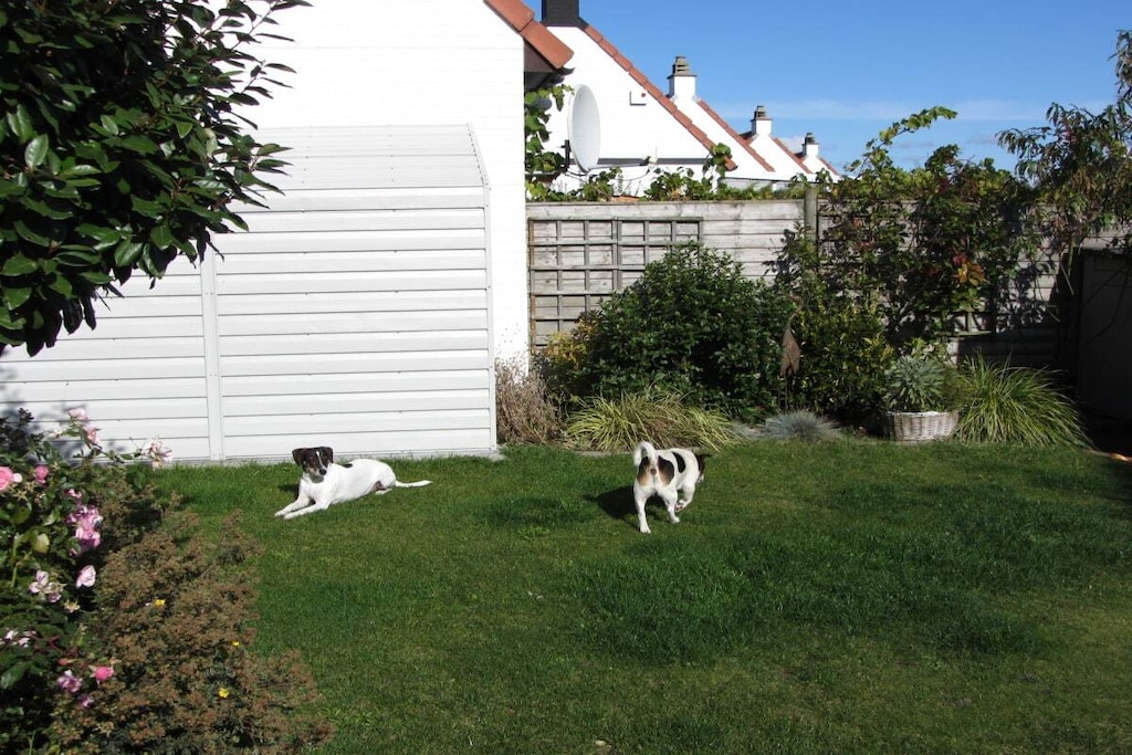 131082 - Niet-getagd
